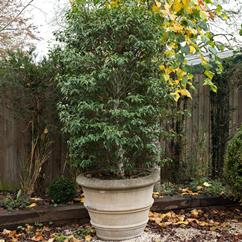 A Pair of Large Reconstituted Stone Pots