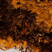 An Amber Inlaid Root Coffee Table with Original Stamp 1960s Alternate image