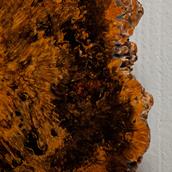 An Amber Inlaid Root Coffee Table with Original Stamp 1960s Alternate image